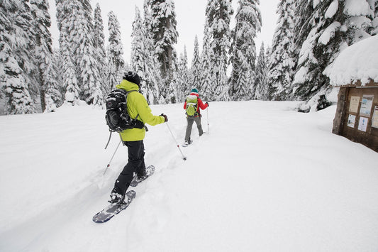 snowshoeing with group