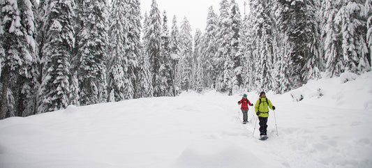 snowshoeing through trees
