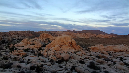 Off-Belay Americas: Climbing in Joshua Tree